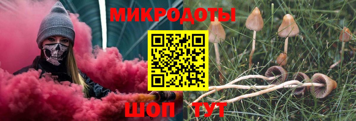 Псилоцибиновые грибы Cubensis Анапа